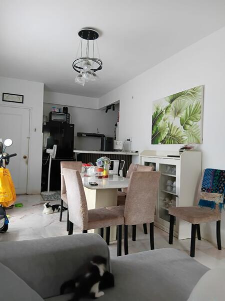 Desaminium Flora - 5