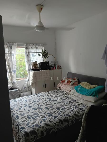 Desaminium Flora - 3