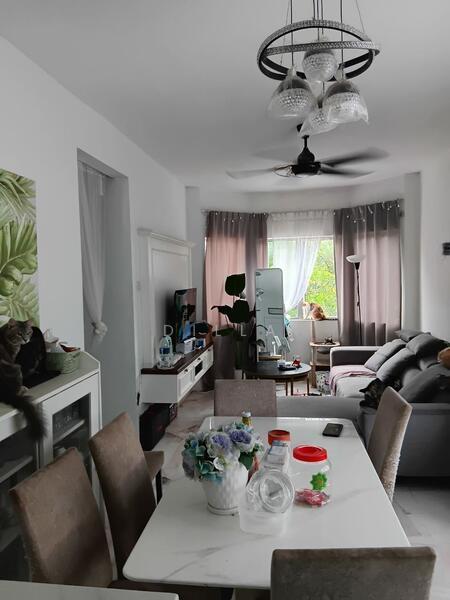 Desaminium Flora - 2