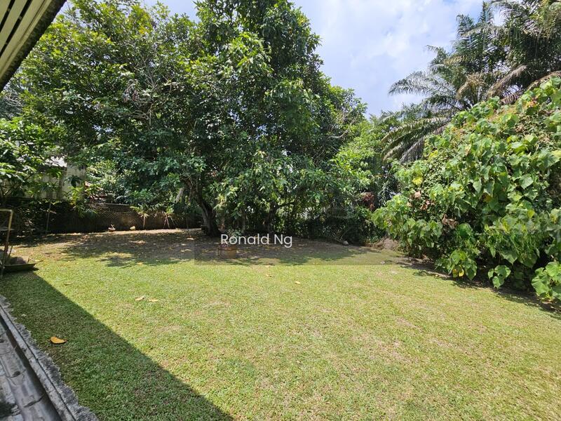 Single Storey Semi Detached Taman Western Pulau Tikus - 3