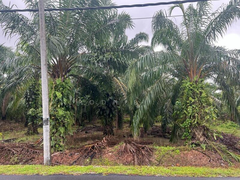 Kampung Kelanang - 2