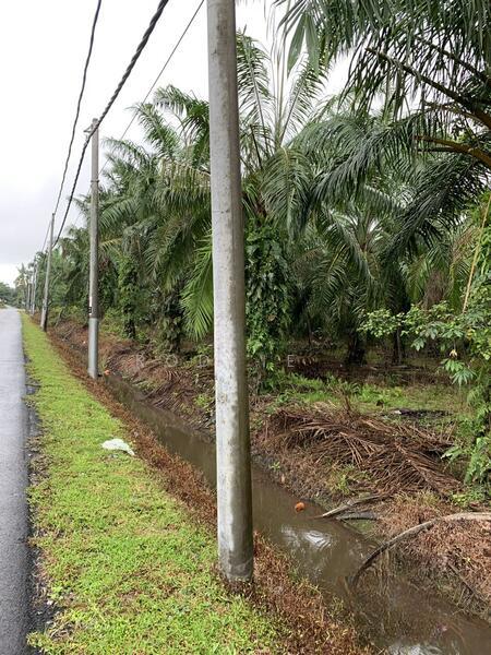 Kampung Kelanang - 1