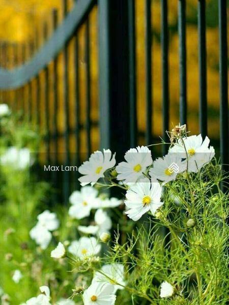 College Heights, College Heights College Heights College Heights College Heights College Heights - 2