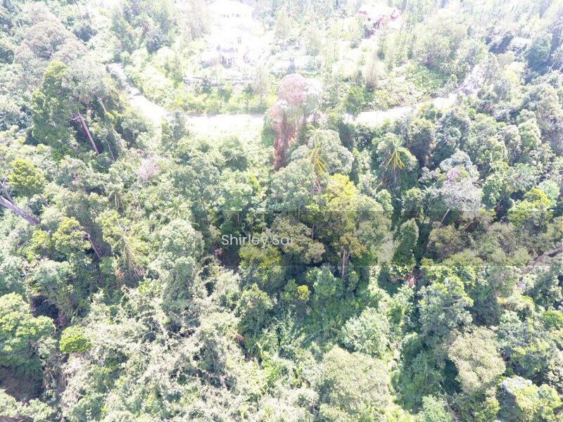 Villas @ Berjaya Hills - 4