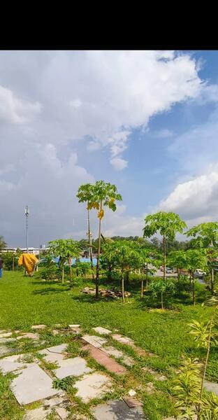 Flat Taman Ungku Tun Aminah - 1