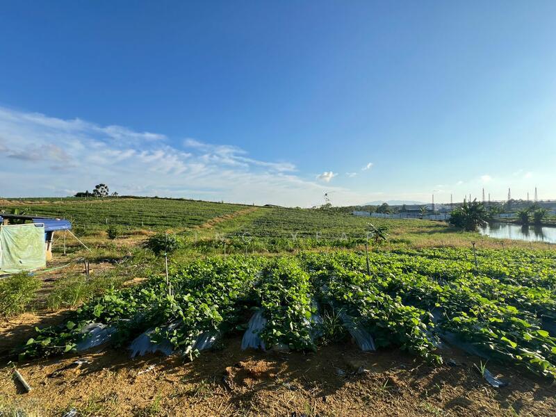 Seelong Agricultural Land Zoning Industrial - 1