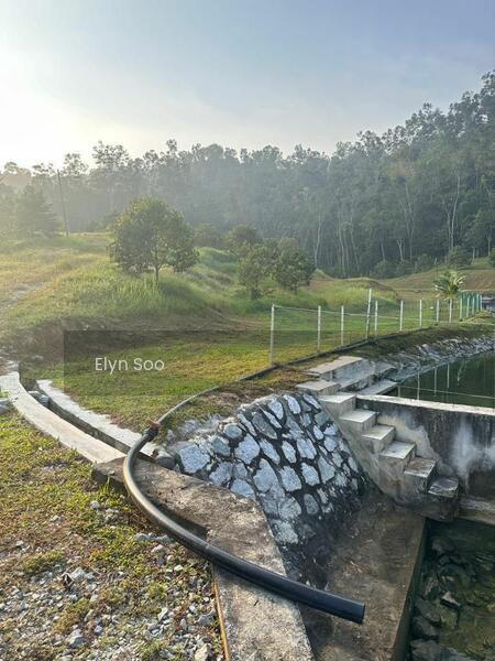 Rawang Agriculture Land ( Villa / Homestay / Nursery / Camping Site / Plantation ) - 3
