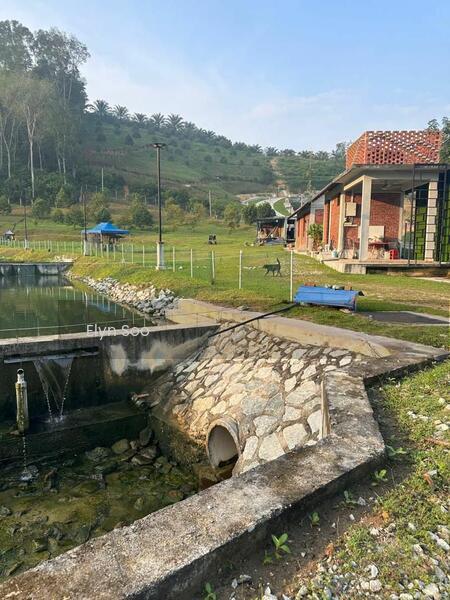 Rawang Agriculture Land ( Villa / Homestay / Nursery / Camping Site / Plantation ) - 1