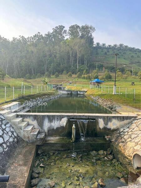 Rawang Agriculture Land ( Villa / Homestay / Nursery / Camping Site / Plantation ) - 2