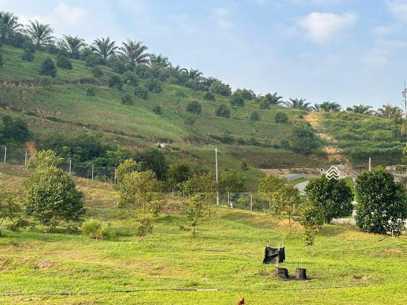 Rawang Agriculture Land ( Villa / Homestay / Nursery / Camping Site / Plantation ) - 5