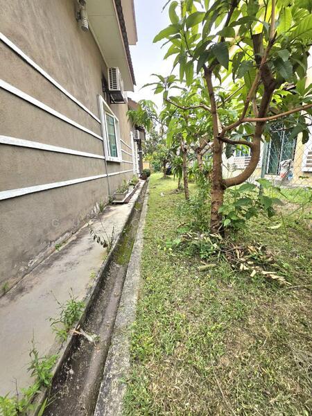 Desa Pinggiran Putra - 5