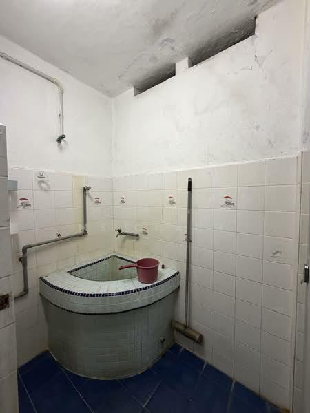 Jelutong - 2