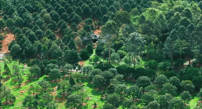 Taman Kulai Utama - 3