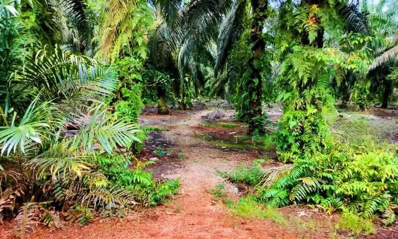 Taman Kulai Utama - 4