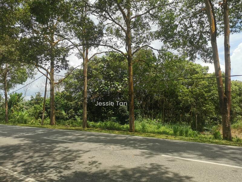 Kulai Kulai Kulais - 1