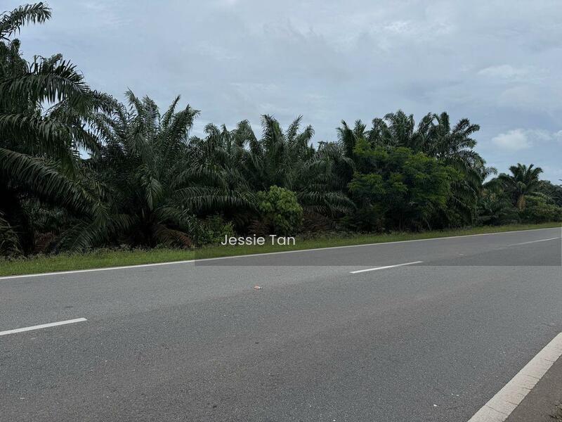 Kulai Kulai Kulais - 3