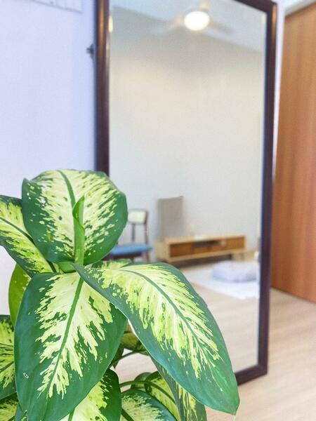 The Grand Subang Jaya SS15 - 5