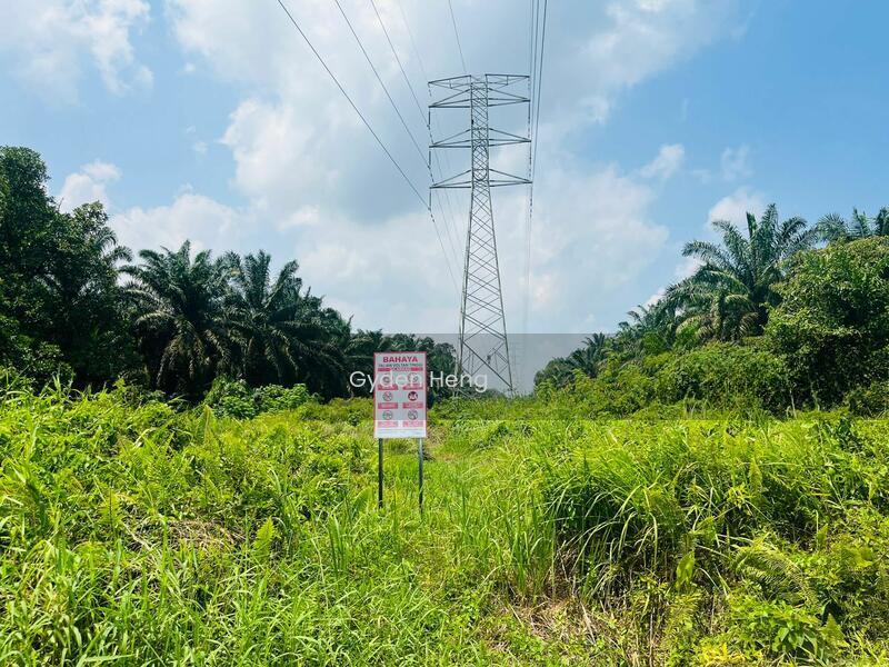 Parit Jawa Kayu Ara Pasong - 2