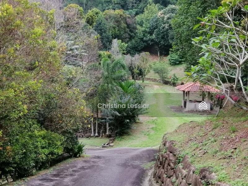 Janda Baik, Bentong - 3