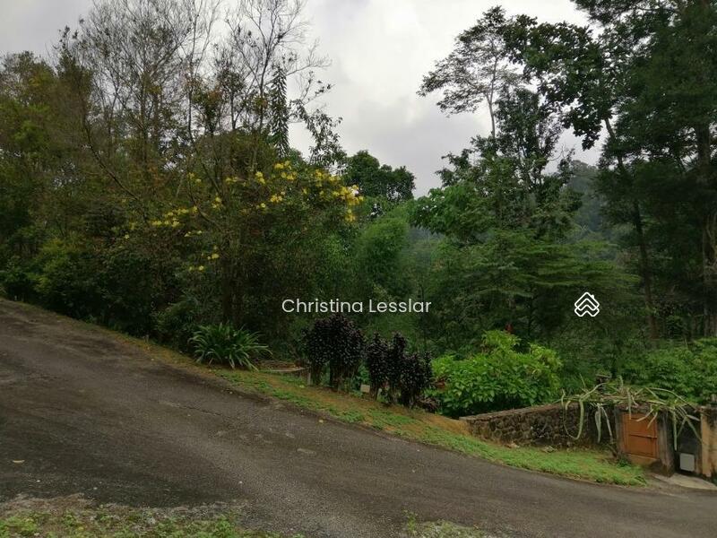 Janda Baik, Bentong - 5