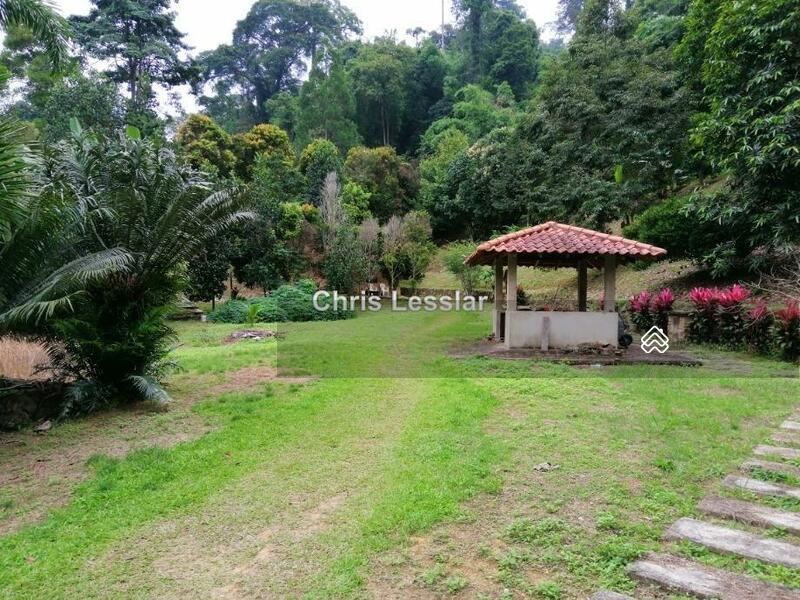 Janda Baik, Bentong - 1