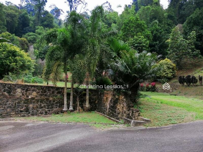 Janda Baik, Bentong - 2