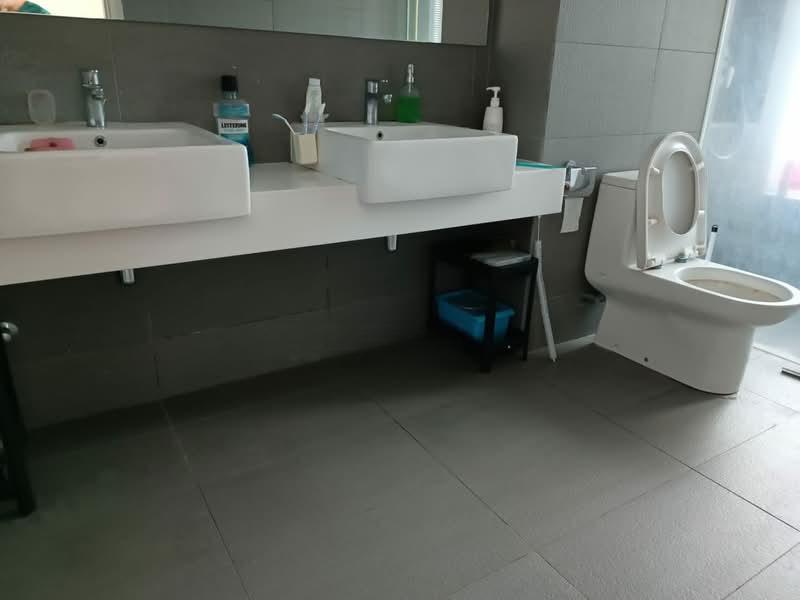 The Light Collection III - 3