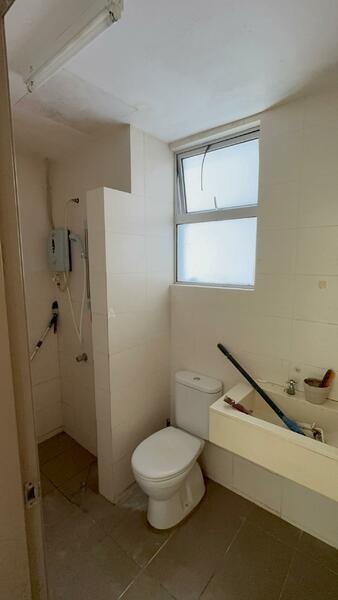 Platinum Lake PV 21 - 2