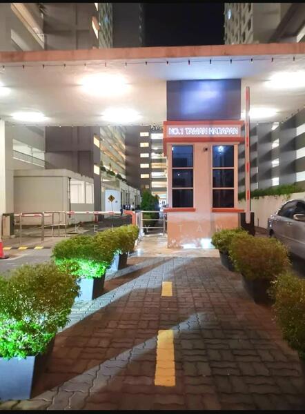 The Rise Collection 2 - 1