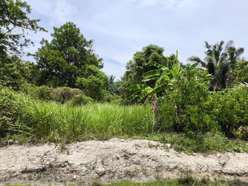 Below Market Value; Residential Land @ Kampung Tersusun Batu 7 Lekir - 5