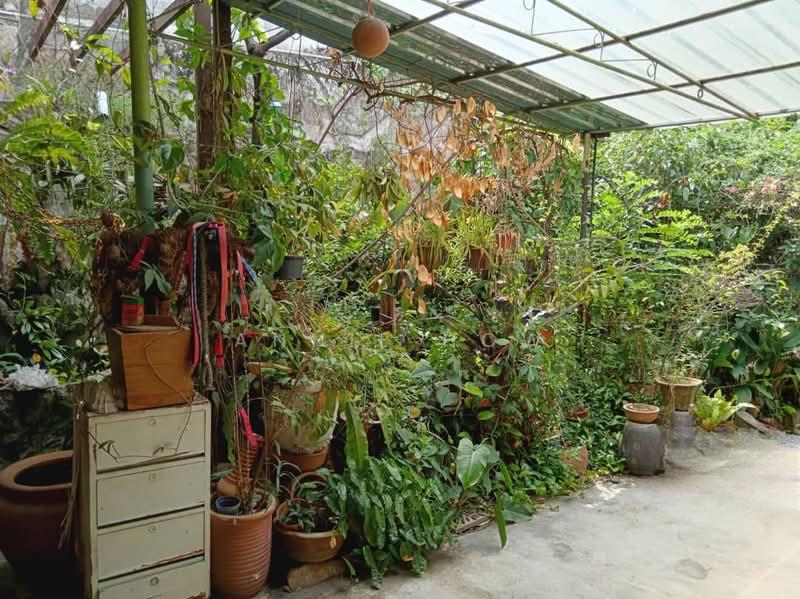 Taman Setapak Single Storey Terrace House , Jalan Langkawi For Sale - 1