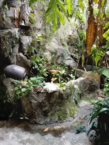 Taman Setapak Single Storey Terrace House , Jalan Langkawi For Sale - 2