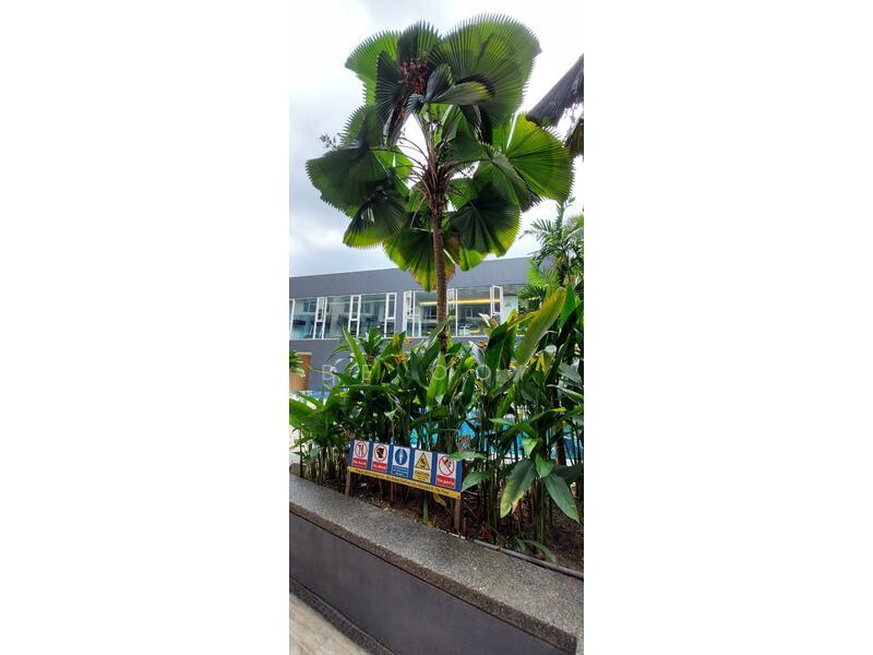 38 Bidara Condominium - 2