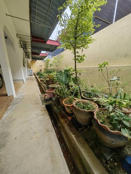 Single Storey Semi Detached Tanjung Bungah - 3