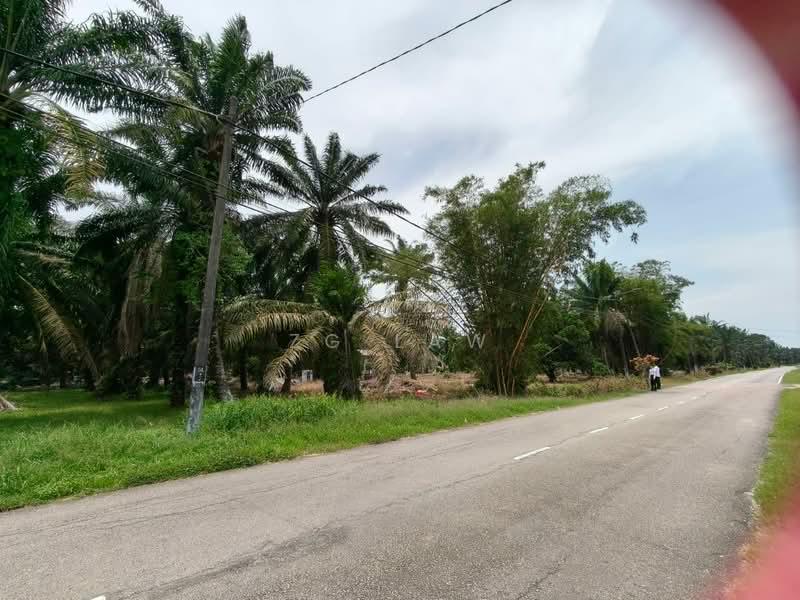 Kampung Sungai Lurus - 4