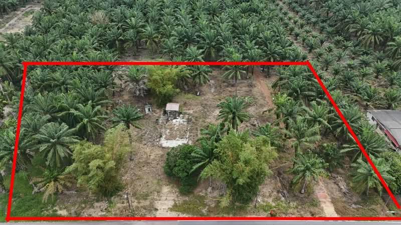 Kampung Sungai Lurus - 1