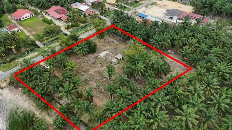 Kampung Sungai Lurus - 3