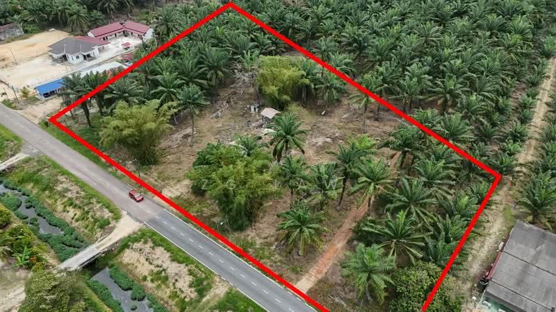 Kampung Sungai Lurus - 2