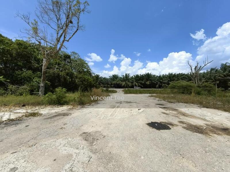 3 Acres 165 x 820 Mainroad Frontage Chaah Labis Segamat - 3