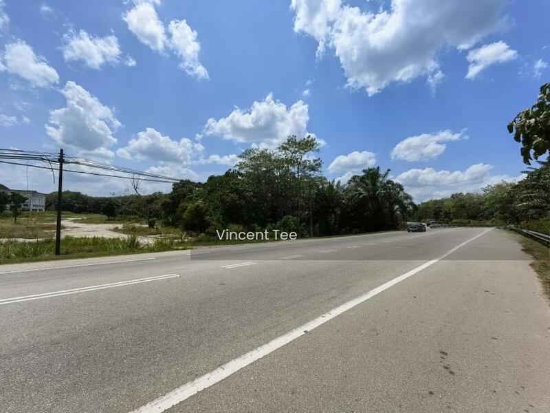 3 Acres 165 x 820 Mainroad Frontage Chaah Labis Segamat - 5