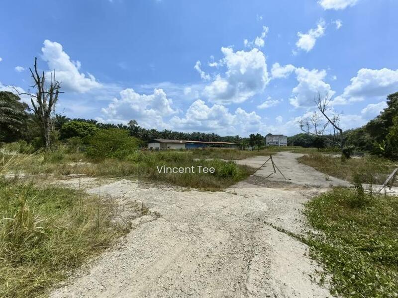 3 Acres 165 x 820 Mainroad Frontage Chaah Labis Segamat - 4