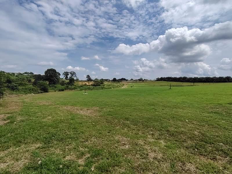 SILC 8 Acres Medium Industrial Land for Sale - 5