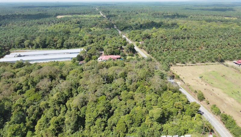 9.619 Acres Main Road | Zoning Residential | Selama | Perak | b - 5