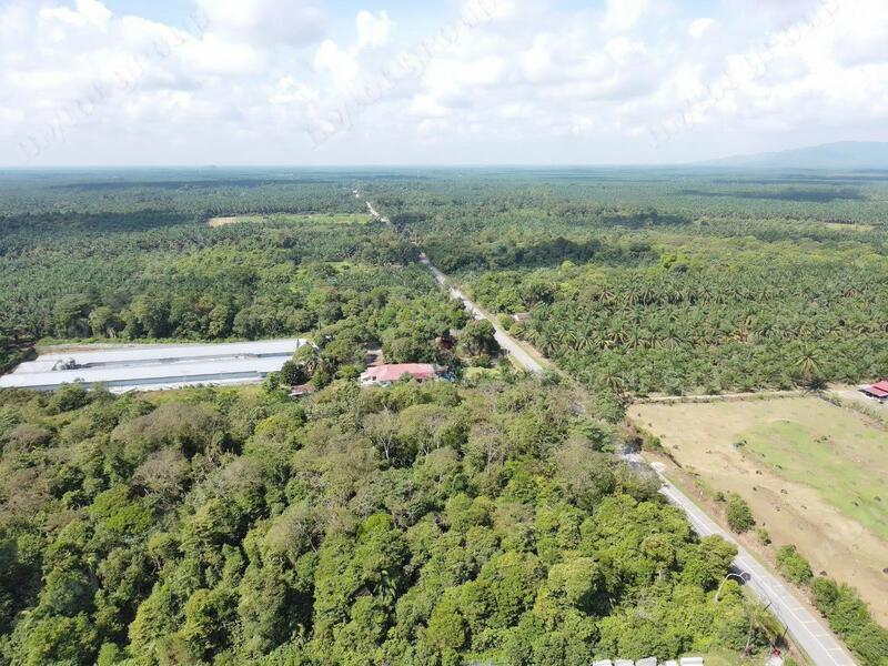 9.619 Acres Main Road | Zoning Residential | Selama | Perak | b - 2