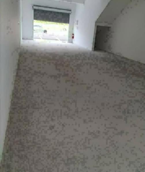 Pulai Hijauan Pulais Hijauans - 3