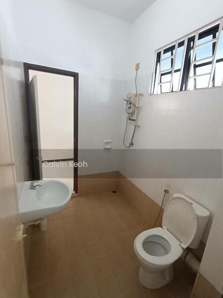 Botanica.CT Botanica 5 Semi-D - 5