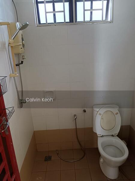 Botanica.CT Botanica 5 Semi-D - 4