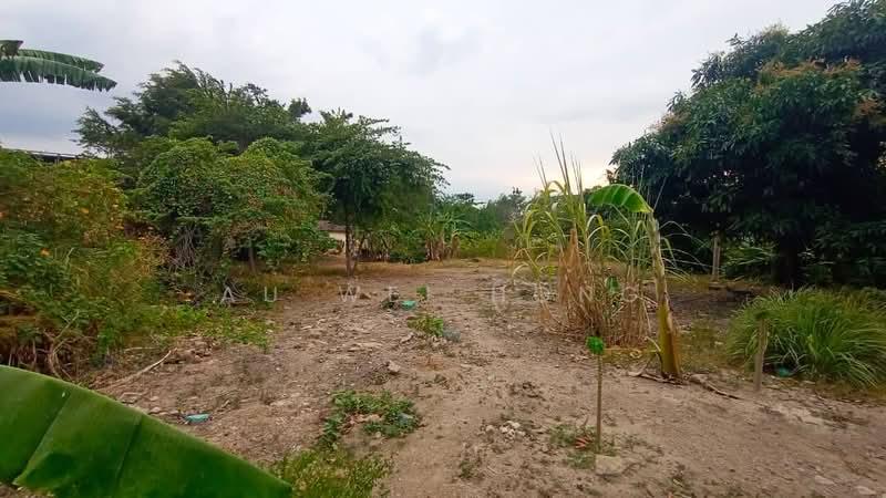 (Padang Serai,Kedah) 1.5 Acre Roadside Land - 4