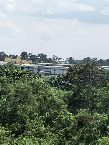 Kampung Pandan land - 5