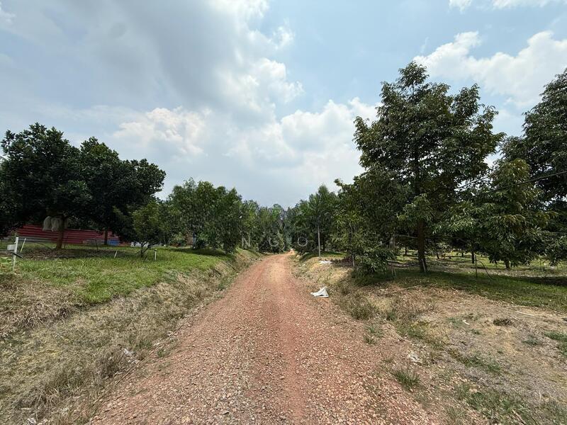 Durian Farm Zoning Industry Main Road Frontage Machap - 2